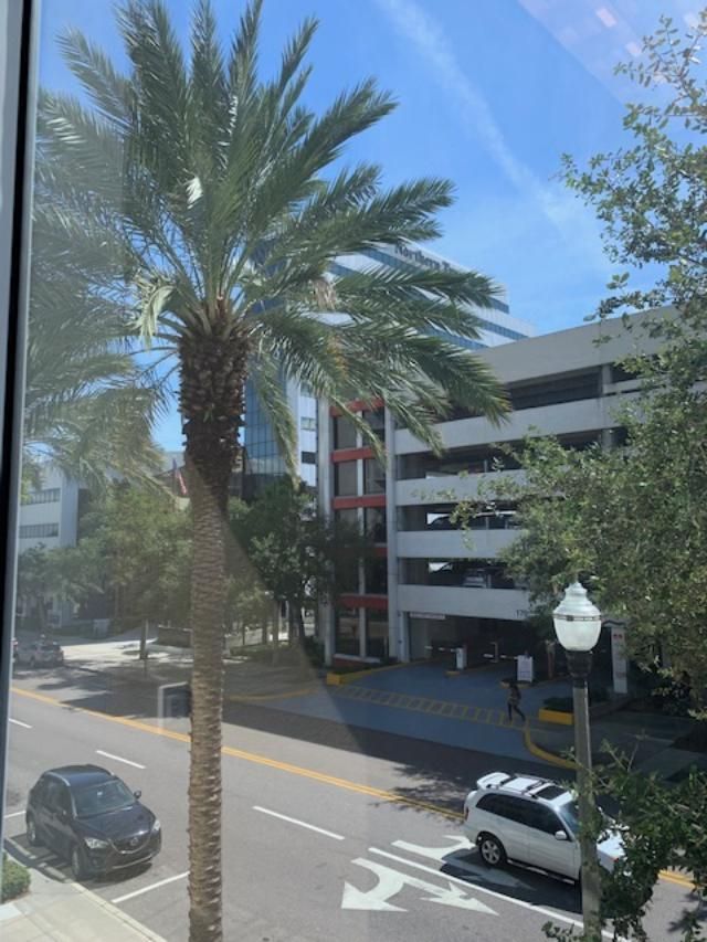 Signature Executive Excellence: 147 2nd Ave S, Saint Petersburg, FL 33701